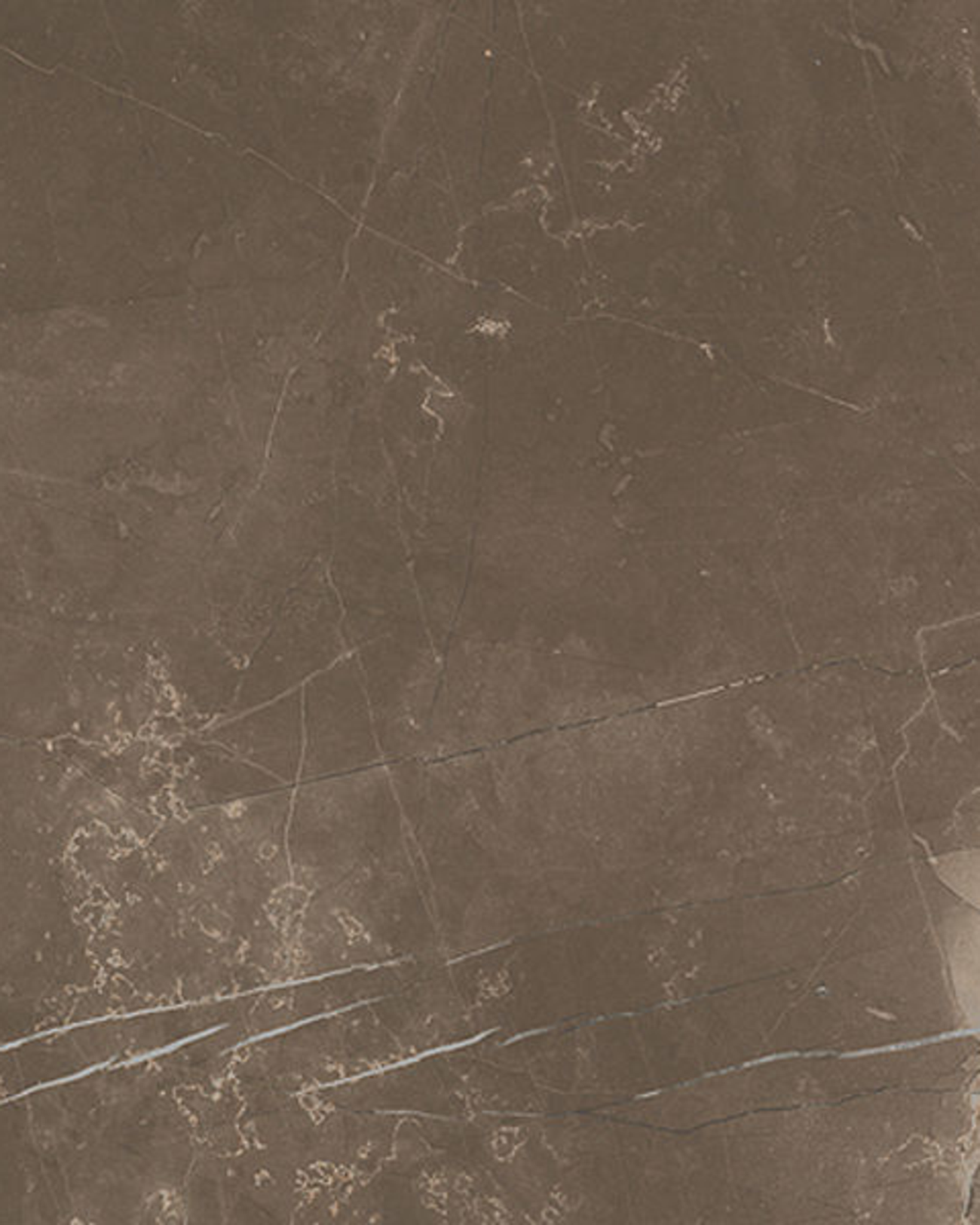 Picture of Marmo Eramosa Polished Porcelain 595x595x9mm 14.8SQM Job Lot