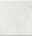 Picture of Casa Pearla Glazed Tiles