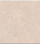 Picture of Chatsworth Bone Antiqued Porcelain 600x600x9mm - 12.2 SQM Job Lot